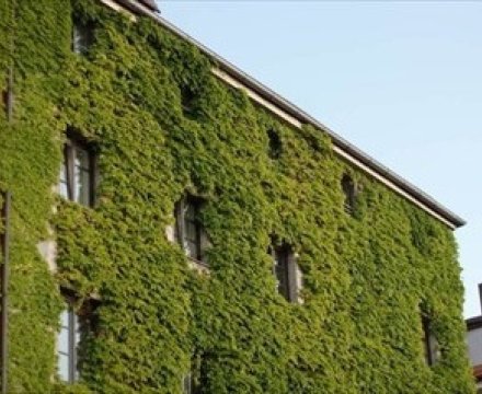 Fotografie po úpravě