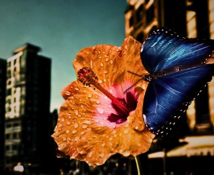 Fotografie po úpravě