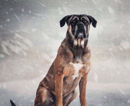 Fotografie po úpravě