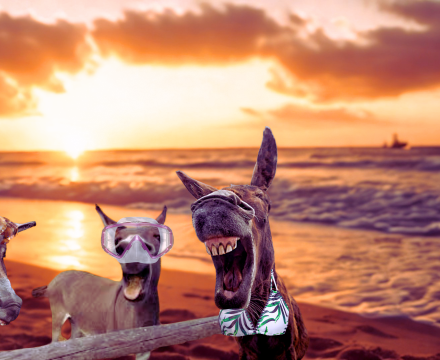 Fotografie po úpravě