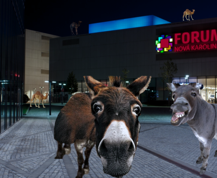 Fotografie po úpravě