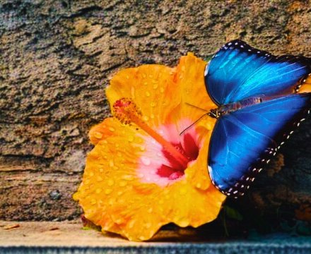 Fotografie po úpravě