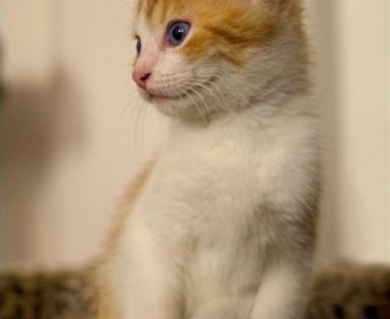 Fotografie po úpravě