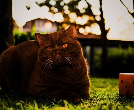 Fotografie po úpravě