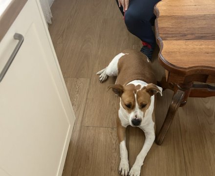 Fotografie po úpravě