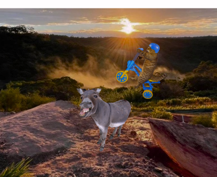 Fotografie po úpravě