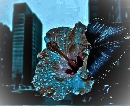 Fotografie po úpravě