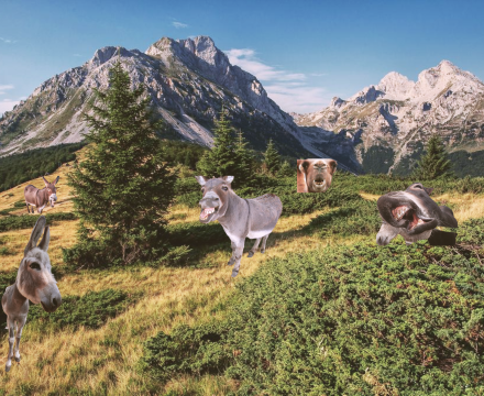 Fotografie po úpravě