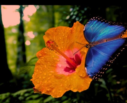 Fotografie po úpravě