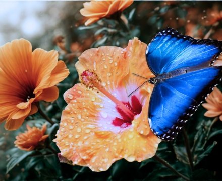 Fotografie po úpravě