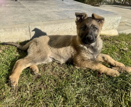 Fotografie po úpravě