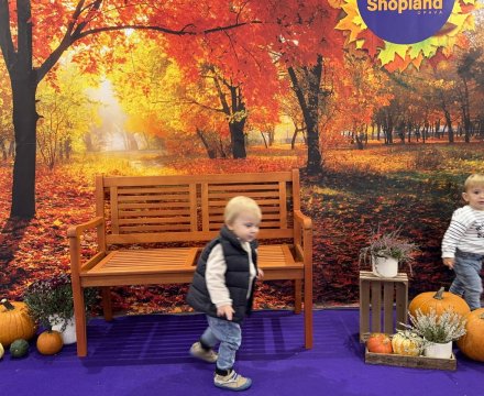 Fotografie po úpravě