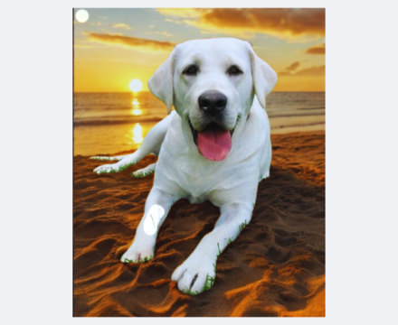 Fotografie po úpravě