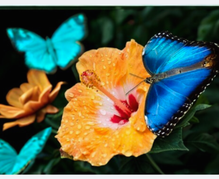 Fotografie po úpravě