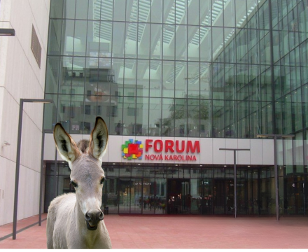 Fotografie po úpravě