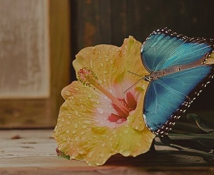 Fotografie po úpravě