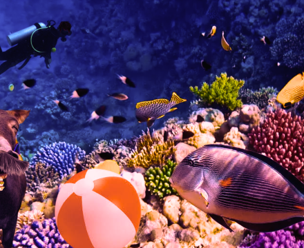 Fotografie po úpravě