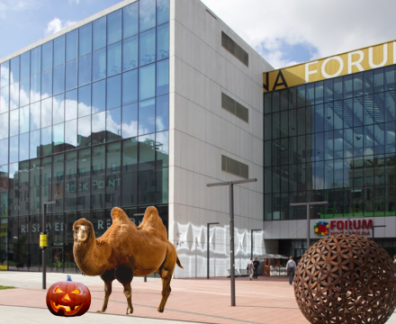 Fotografie po úpravě