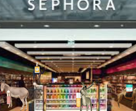 Fotografie po úpravě