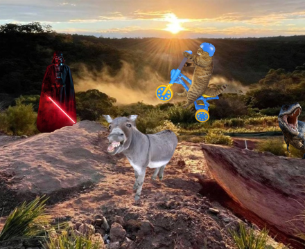 Fotografie po úpravě