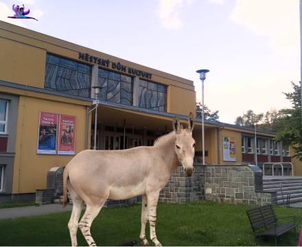 Fotografie po úpravě