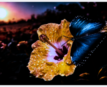 Fotografie po úpravě