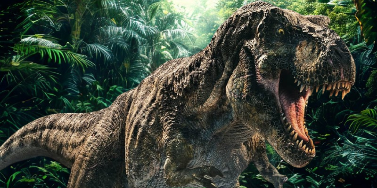 Fotografie po úpravě