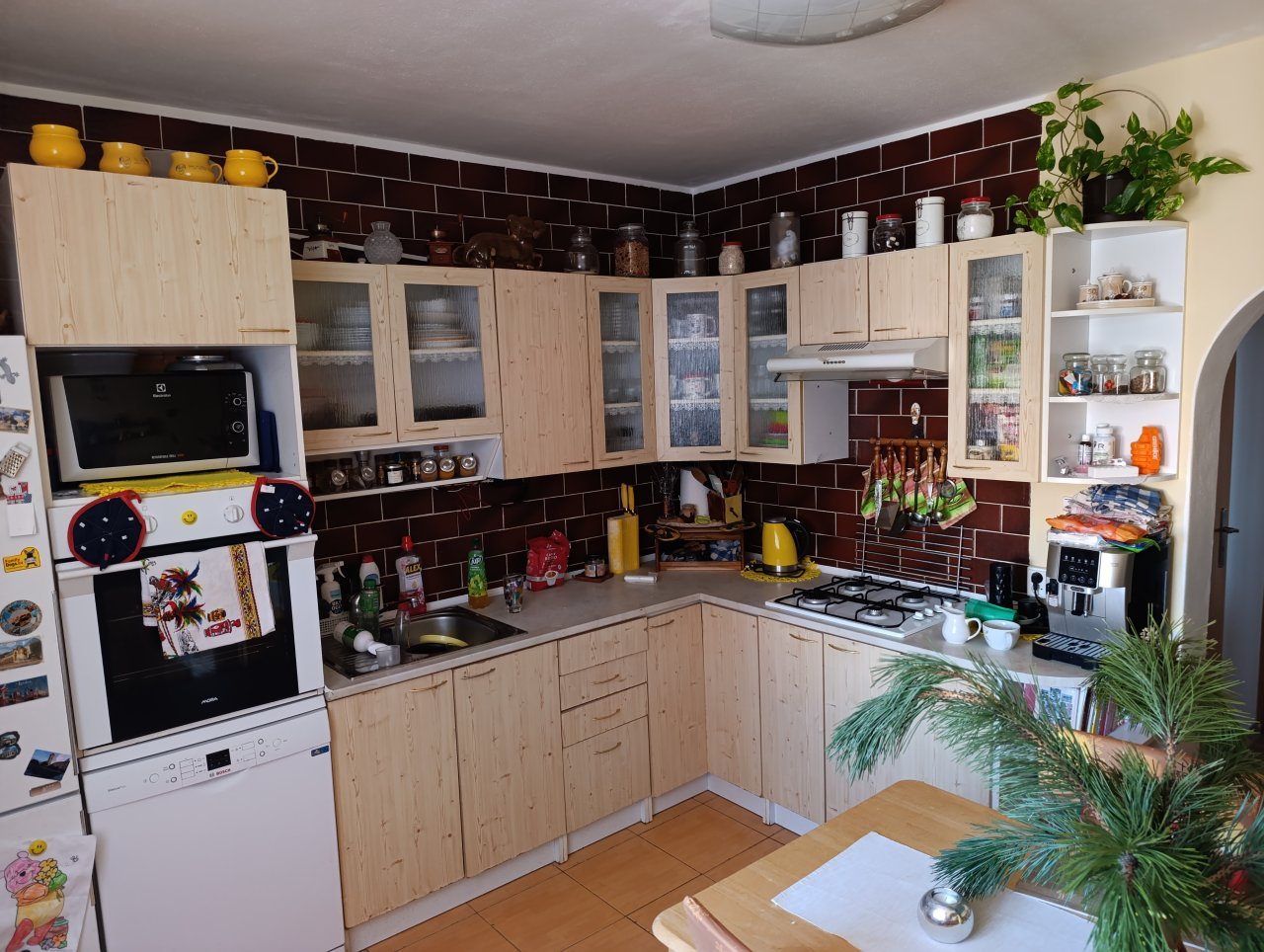 Fotografie před úpravou