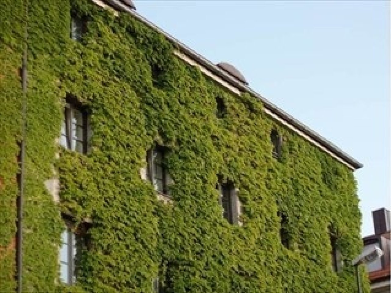 Fotografie před úpravou