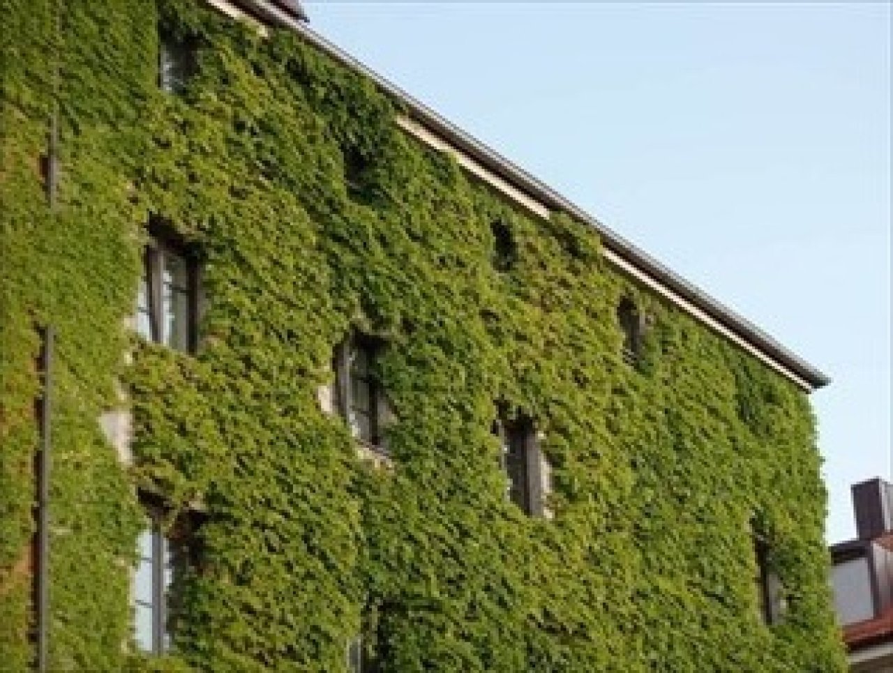 Fotografie po úpravě