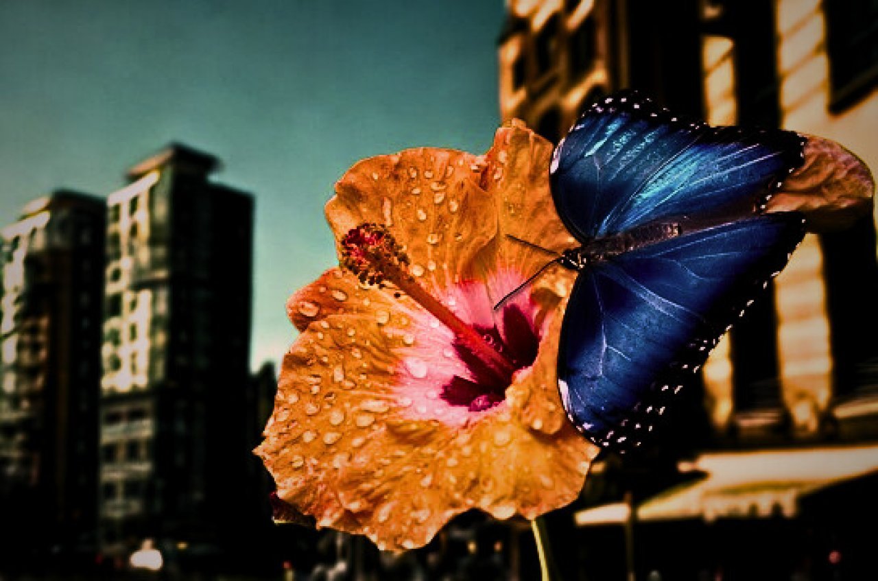 Fotografie po úpravě