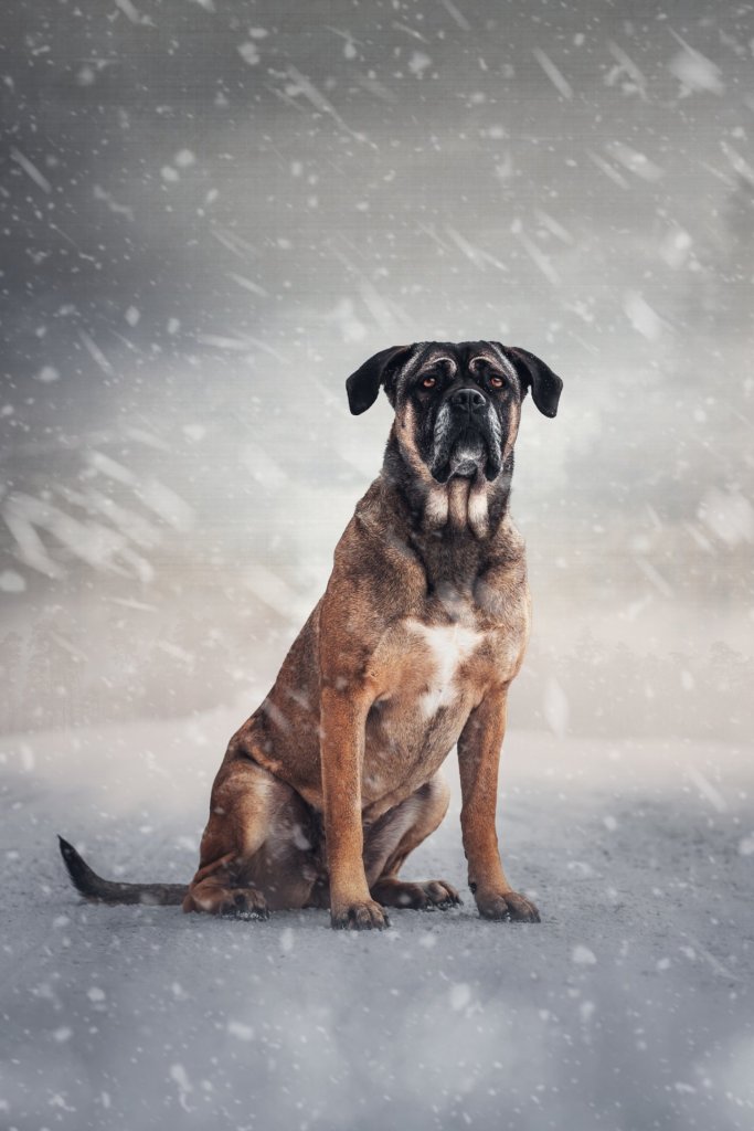 Fotografie po úpravě