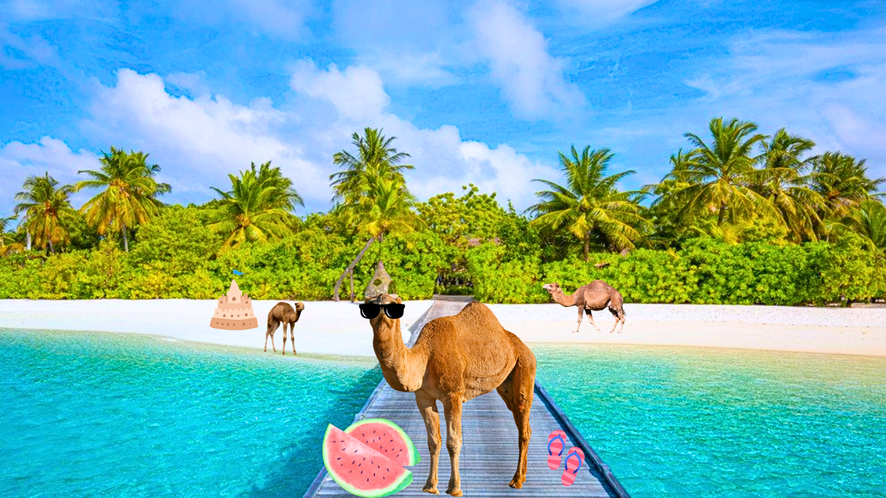 Fotografie po úpravě