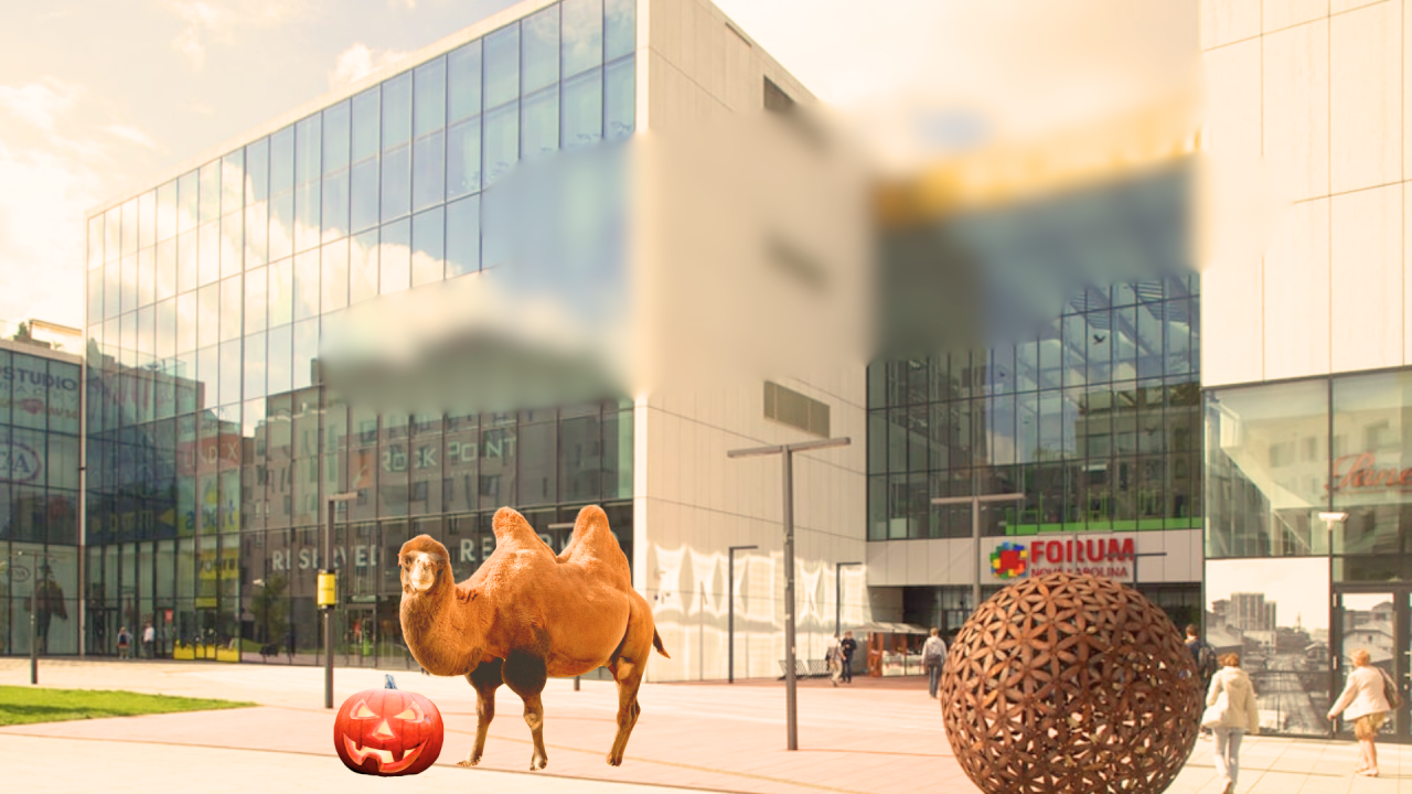 Fotografie před úpravou