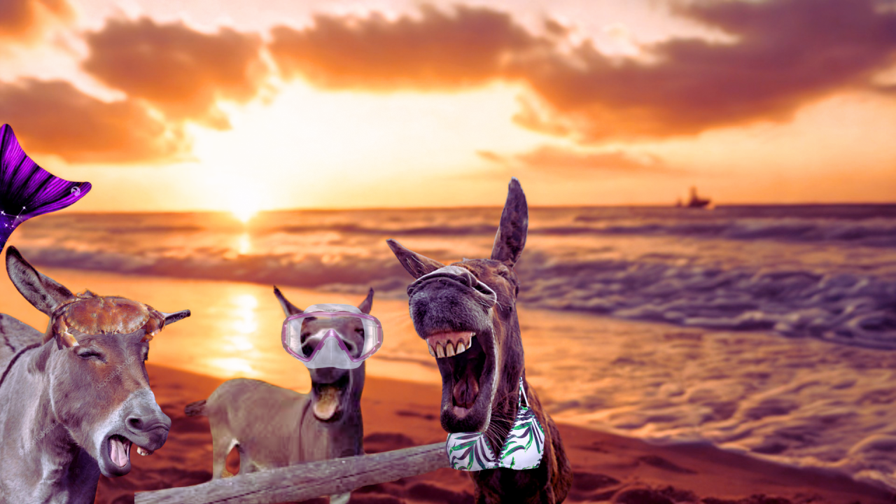 Fotografie po úpravě