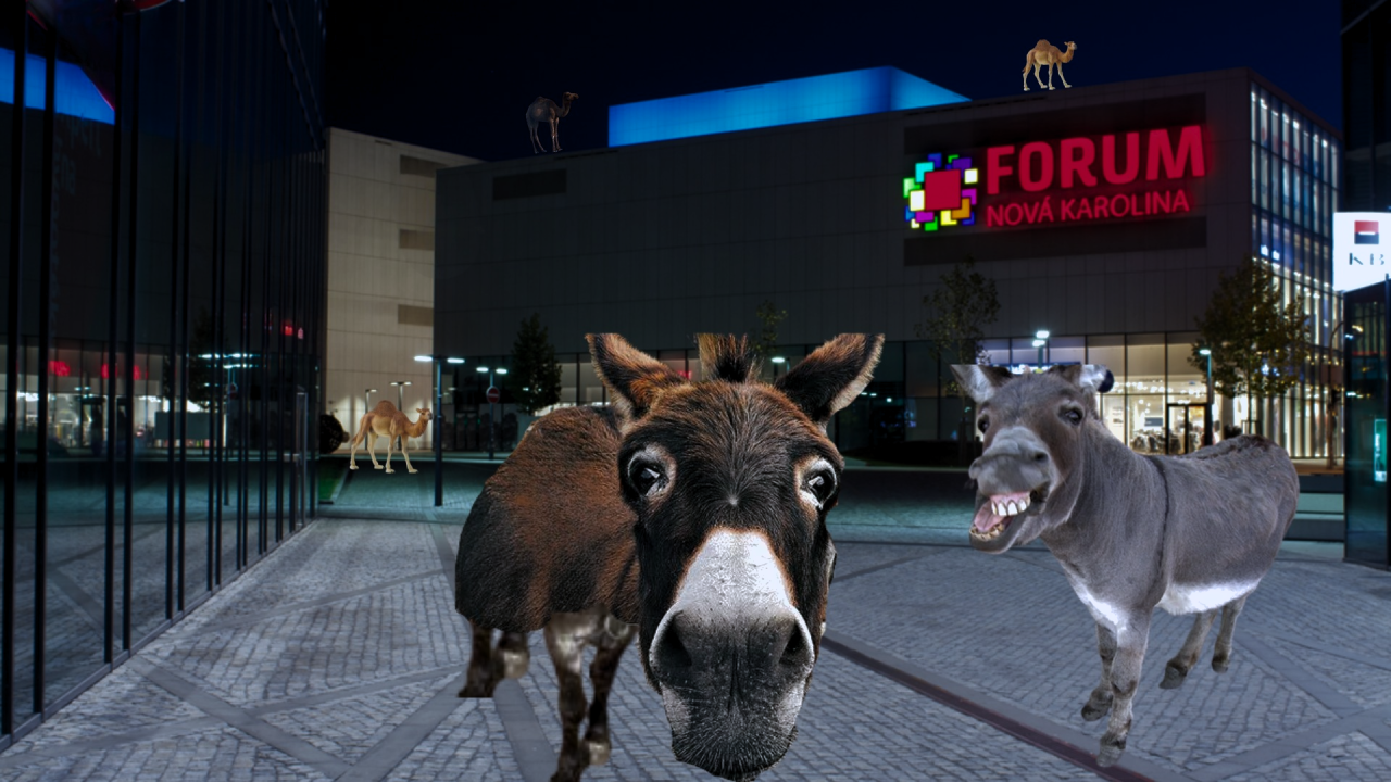 Fotografie po úpravě