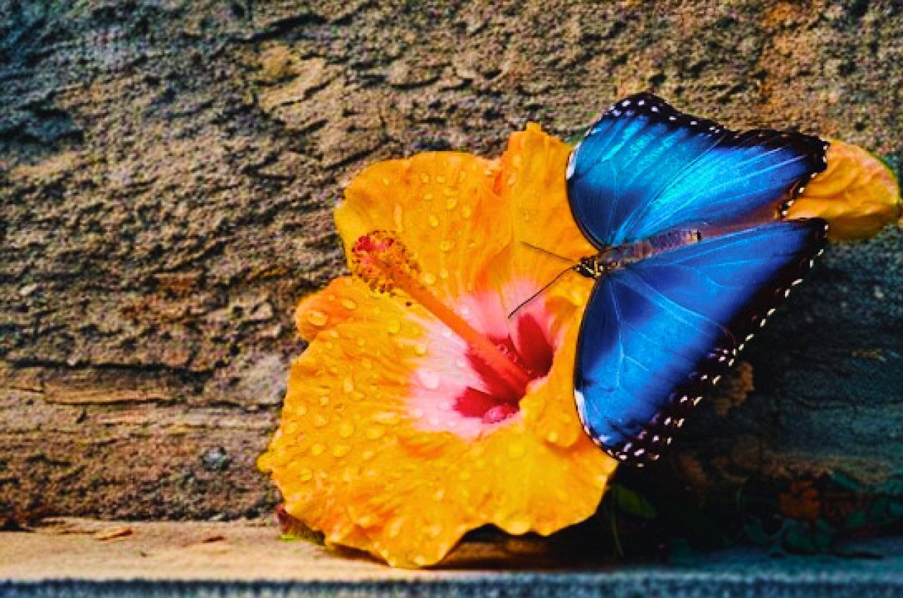 Fotografie po úpravě