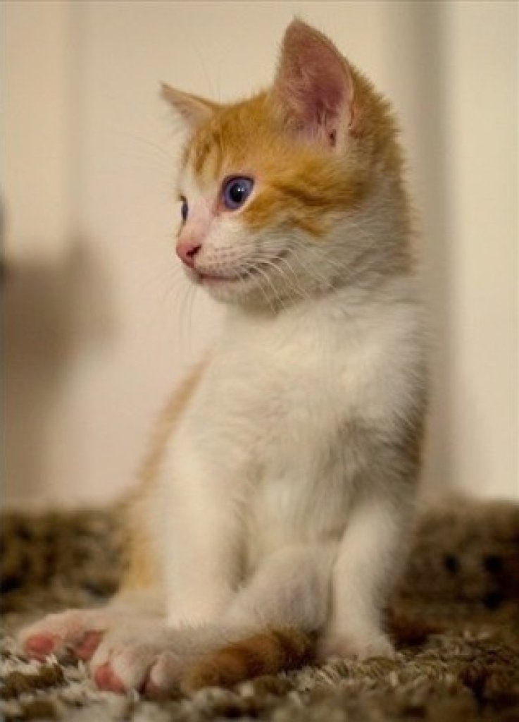 Fotografie po úpravě