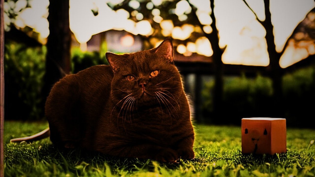 Fotografie po úpravě