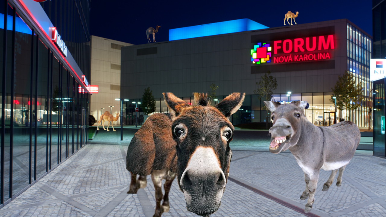 Fotografie před úpravou