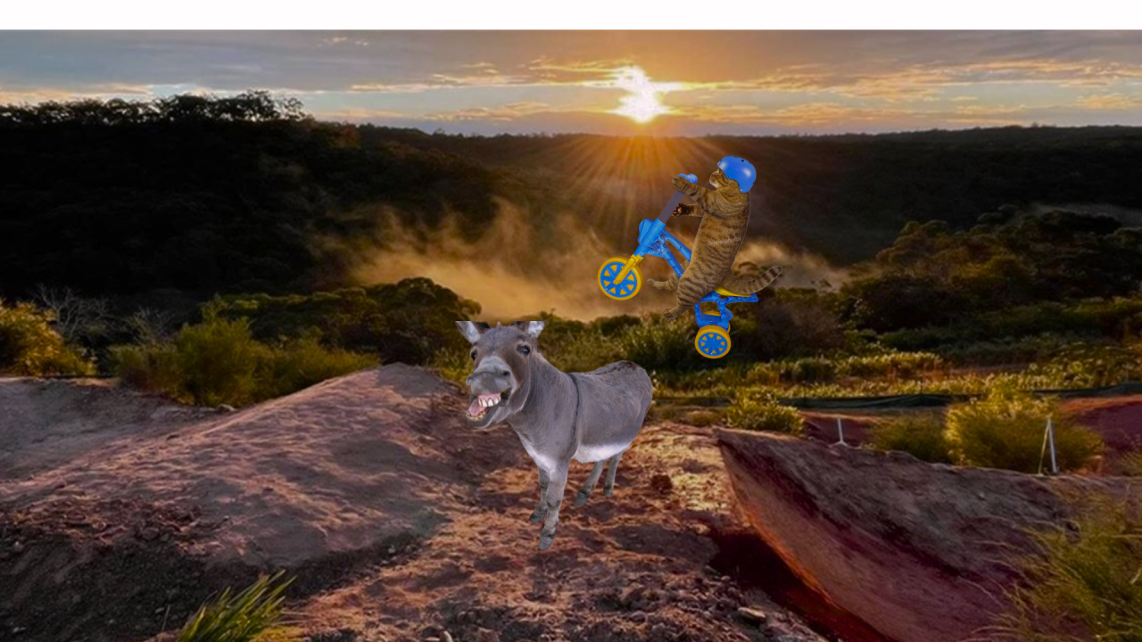 Fotografie po úpravě