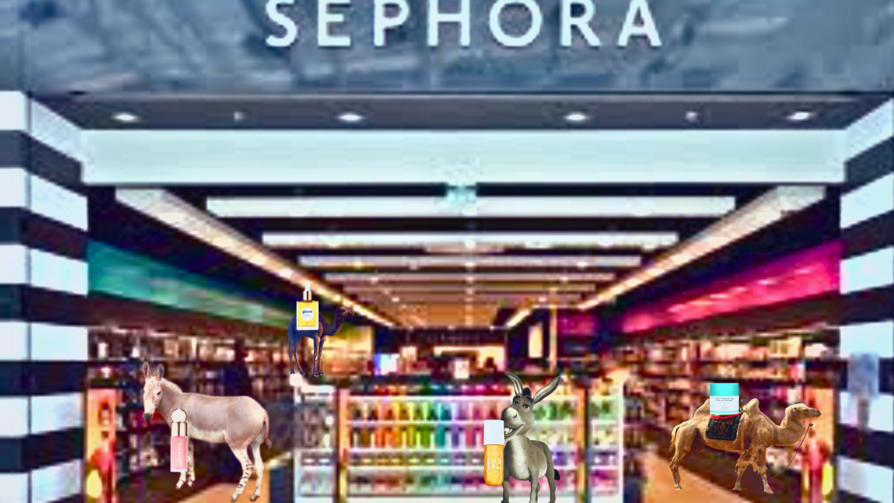 Fotografie před úpravou