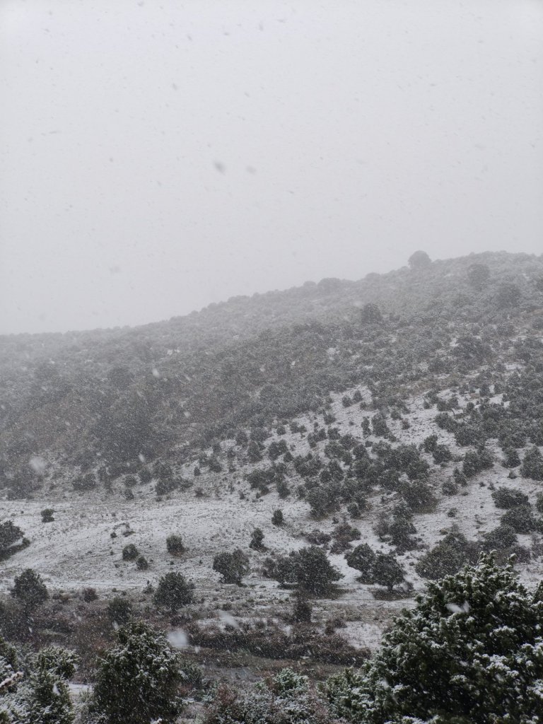 Fotografie před úpravou