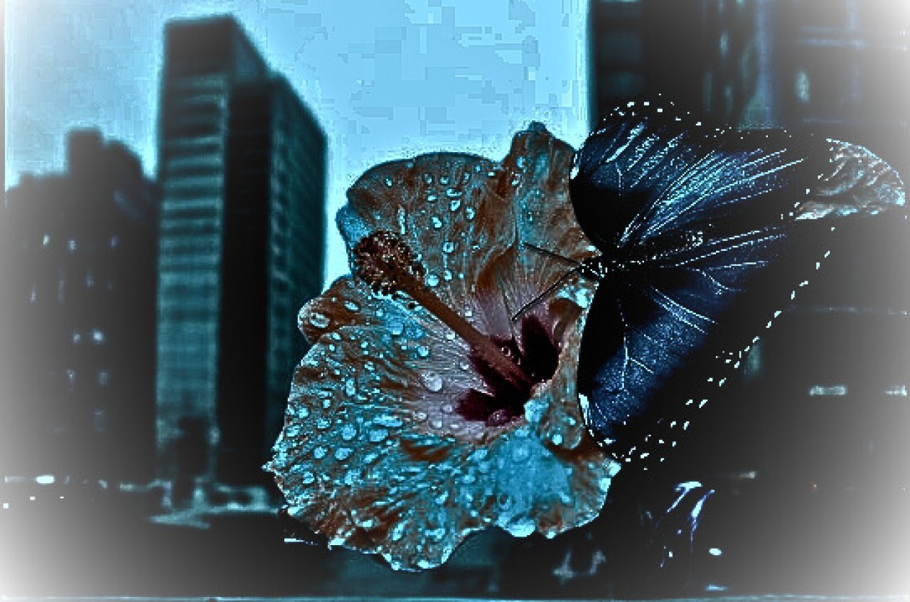 Fotografie po úpravě