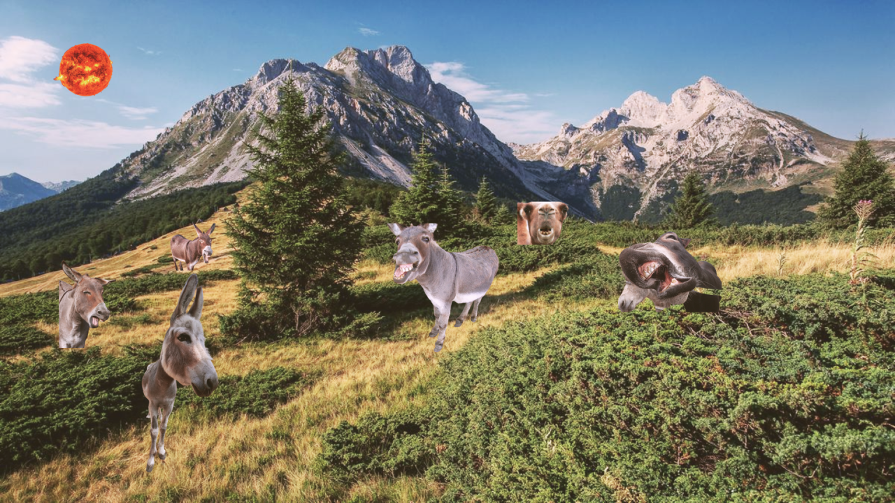 Fotografie po úpravě