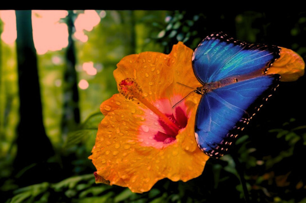 Fotografie po úpravě