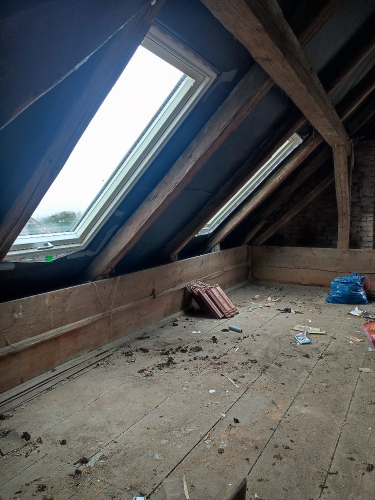 Fotografie před úpravou