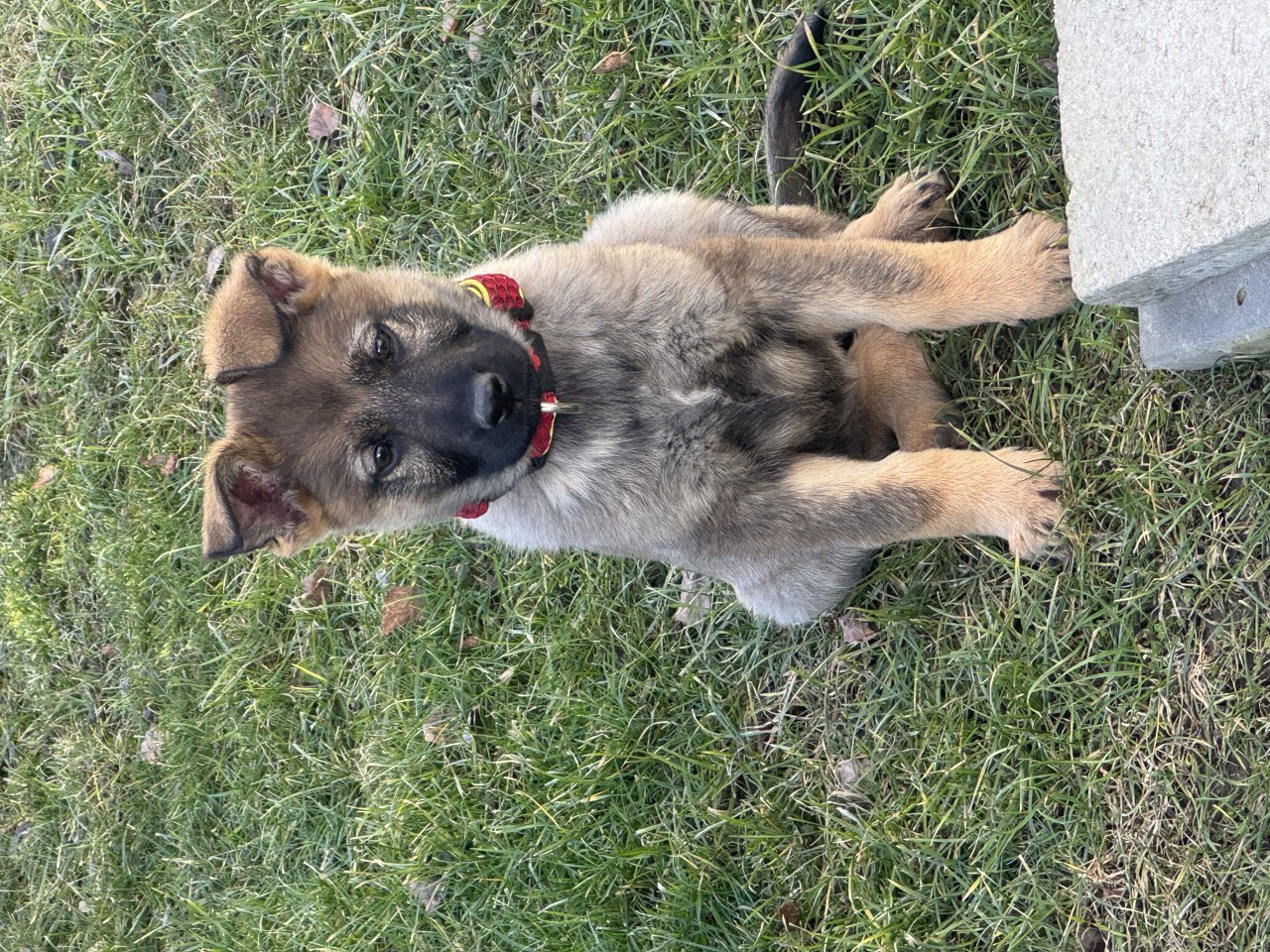 Fotografie před úpravou