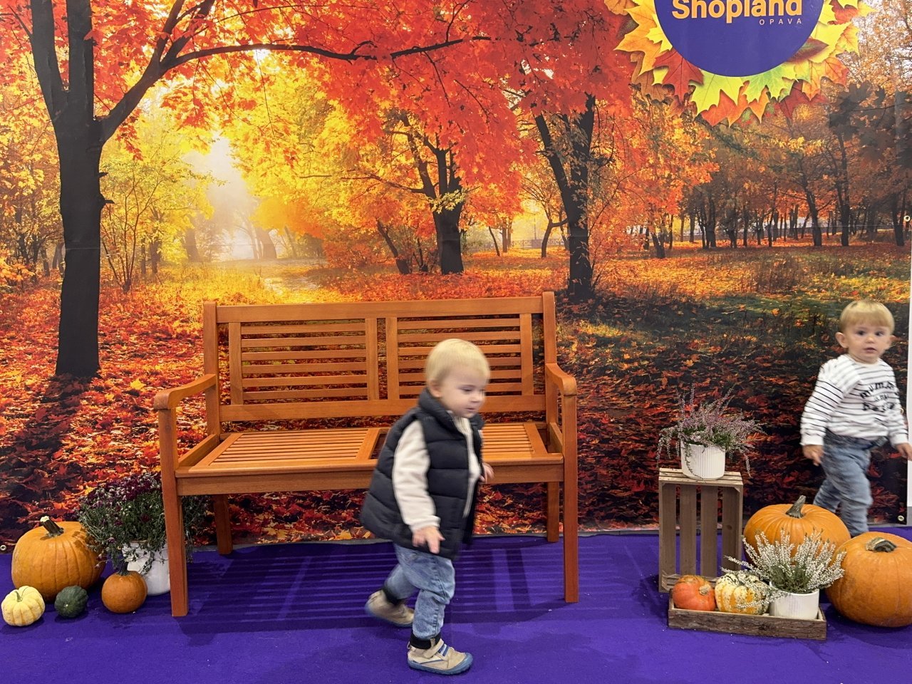 Fotografie po úpravě