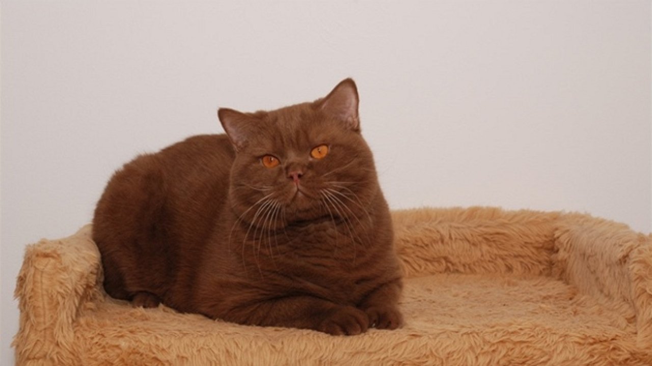 Fotografie před úpravou